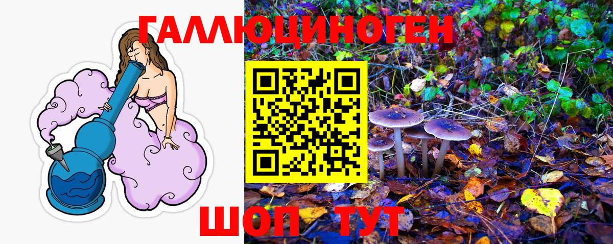 Галлюциногенные грибы Magic Shrooms  Псилоцибиновые грибы Cubensis  Горячий Ключ  Вход с VPN 